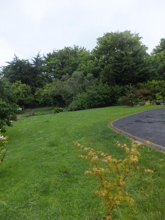 Bed and Breakfast Shrubdown Freshford Exterior foto