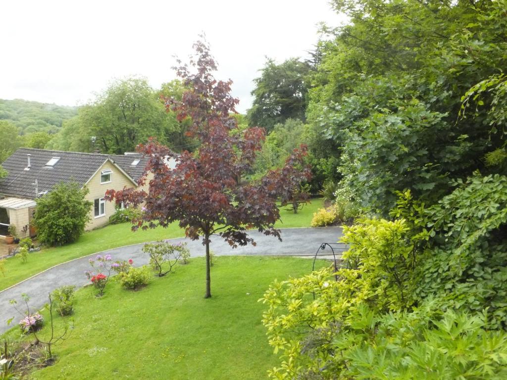 Bed and Breakfast Shrubdown Freshford Exterior foto