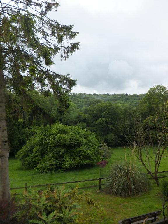 Bed and Breakfast Shrubdown Freshford Exterior foto