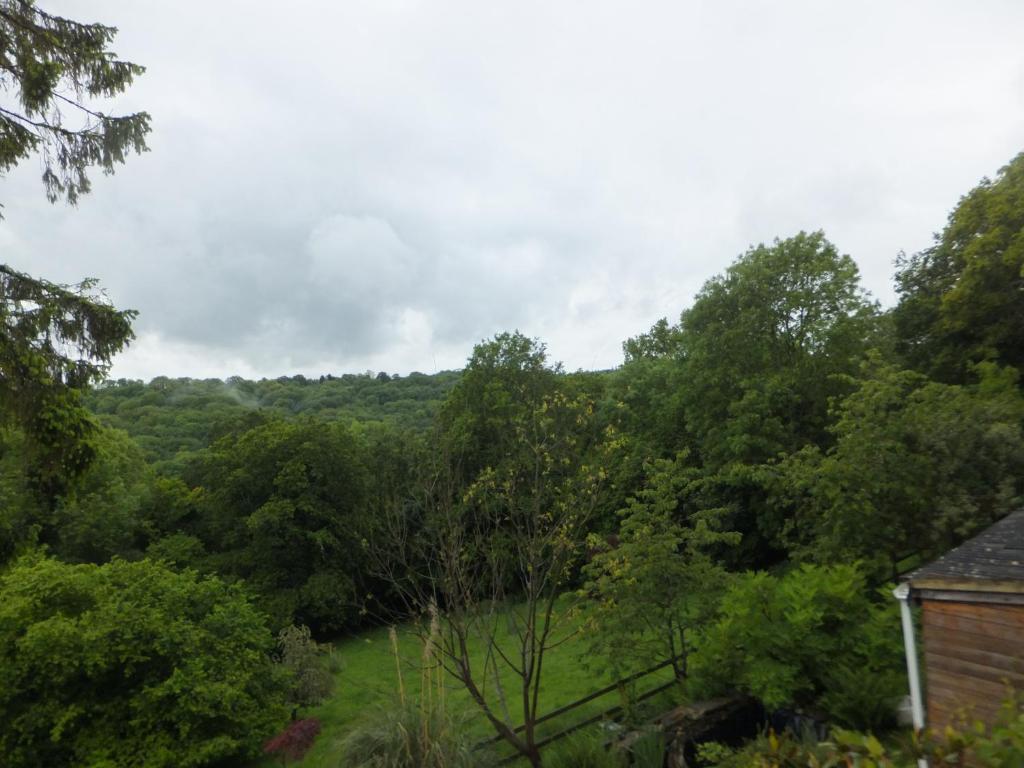 Bed and Breakfast Shrubdown Freshford Exterior foto